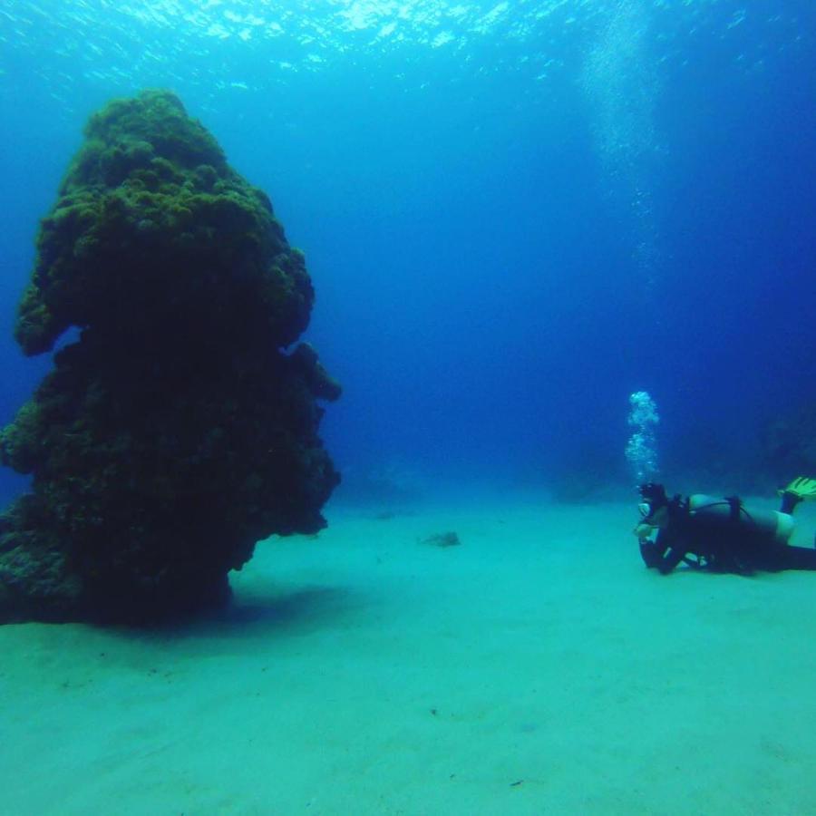 Green Island Good Sound Εξωτερικό φωτογραφία